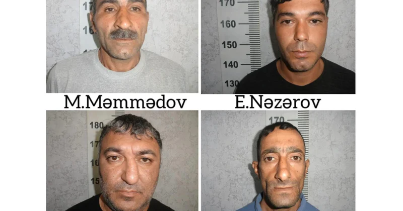 Sabirabadda çətənə kolları yetişdirən 4 nəfər saxlanılıb