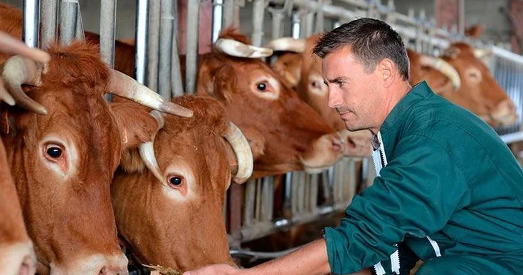 Новая госпрограмма положит конец запрета на экспорт продукции животного происхождения Minval Politika