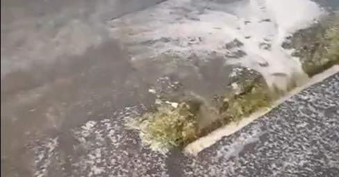 Zaqatalaya leysan yağdı, bəzi ərazilərə dolu düşdü FOTO VİDEO