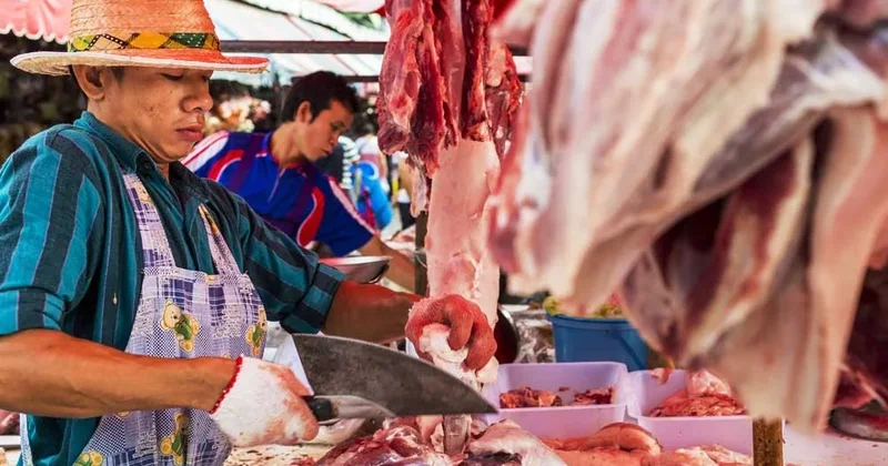 Braziliya Aİ nin qadağasına cavab hazırlayır