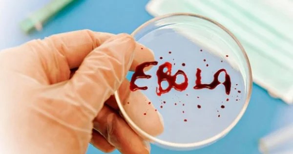 Bu ölkə ŞOKDA Ebolaya yoluxanların sayı 450 nəfərə çatdı