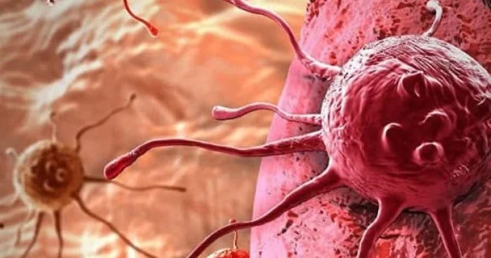 Onlar 500, insan tək: Hər addımda “hücuma” məruz qalırıq