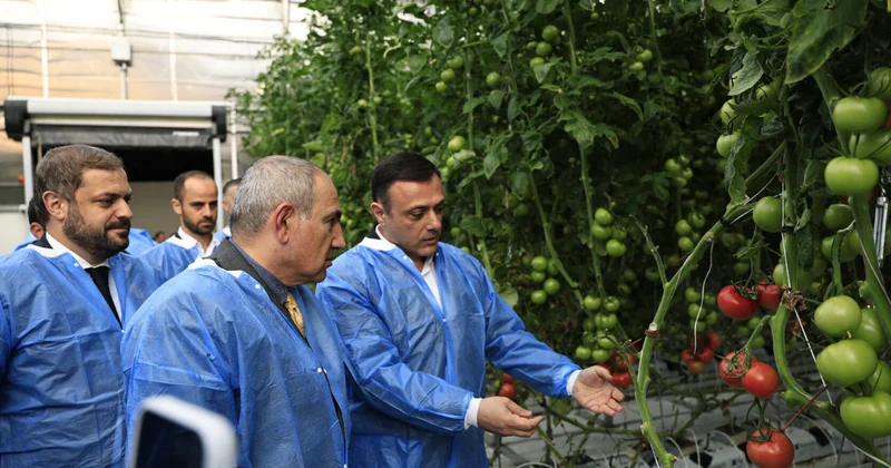 Экспорт сельхозпродукции Армении в Евросоюз без пошлин заявил Пашинян