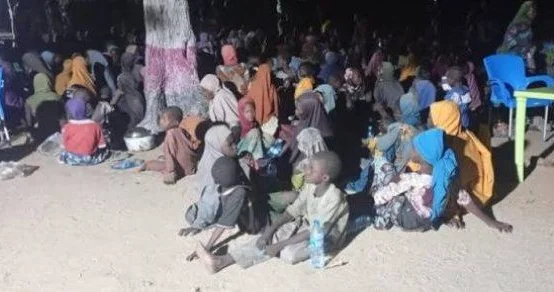 Nigeriyada Boko Haram terrorçularının qaçırdığı 360 girov azad edilib