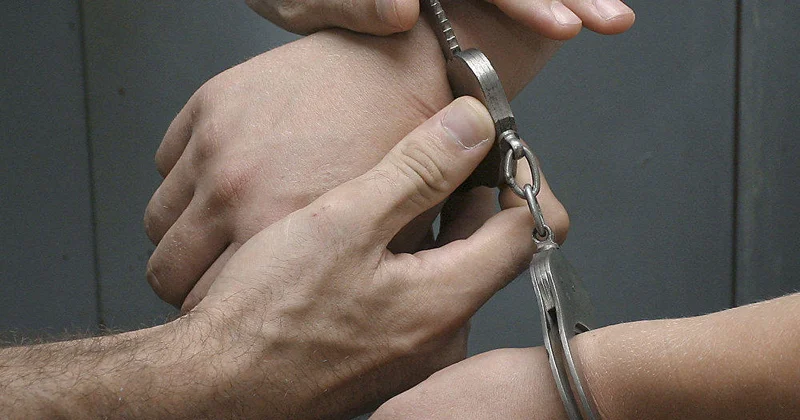 В Армении задержан представитель армянской диаспоры из России