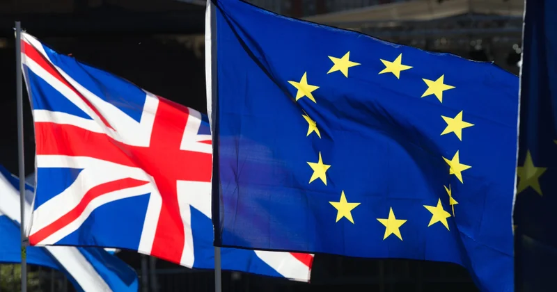 Britaniyalı seçicilərin əksəriyyəti “Brexit” qərarının ləğv edilməsini istəyir