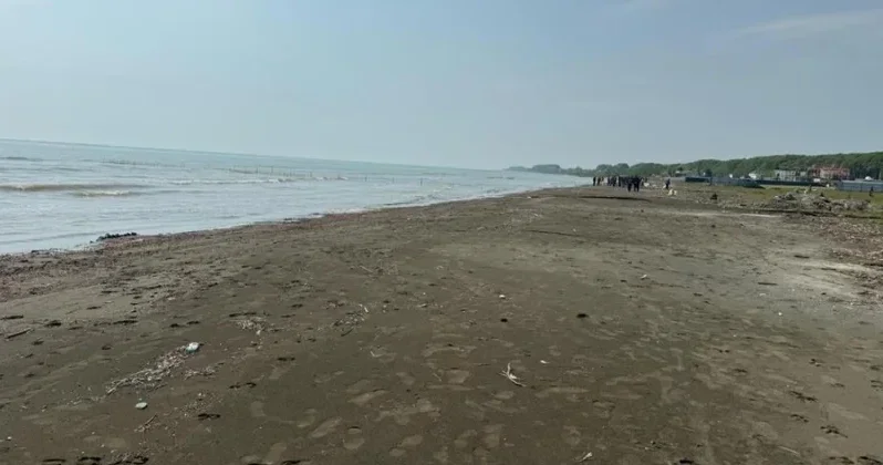 Buzovnada özbaşına tikinti aparan şəxs barəsində inzibati tədbir görülüb