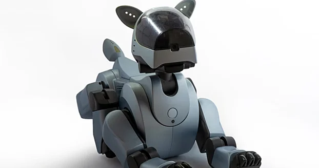 Rusların robot itlərinə pilləkənləri qalxmağı öyrədəcəklər...