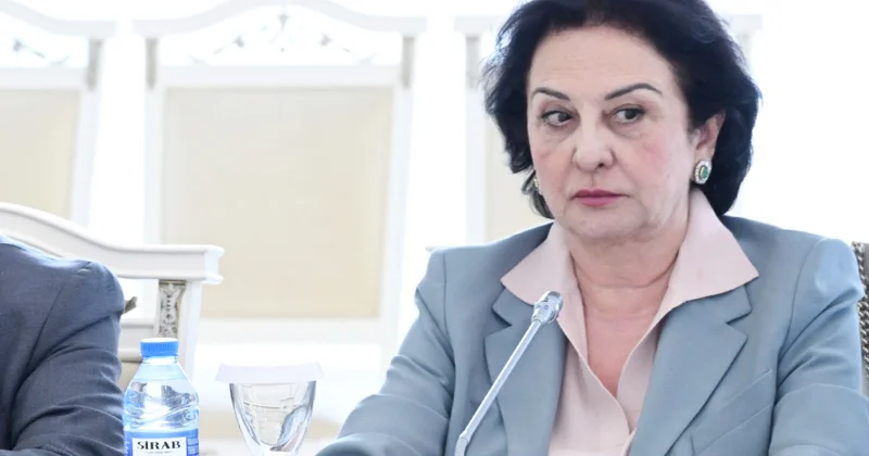 Əməkdar memar: Tədqiqatlar nəticəsində artıq 44 abidə dövlətin mühafizə olunan abidələr siyahısına daxil edilib