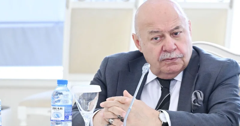 Elbay Qasımzadə: Tarixi abidələrin qorunmasında maarifləndirmə və vahid idarəetmə zəruridir