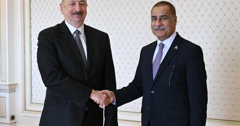 İlham Əliyev Pakistan nümayəndə heyətini qəbul edib FOTOLAR