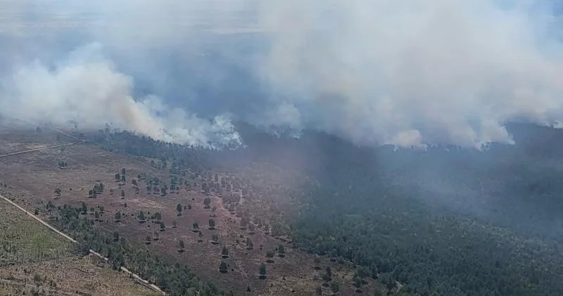 Almaniyada meşə yanğını 3 bölgəni alov bürüyüb, hərbçilər prosesə cəlb olunub
