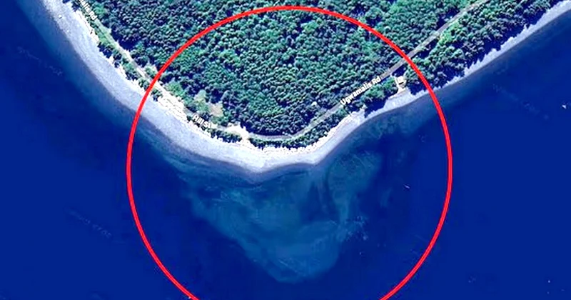 Google Maps da sualtı nəhəng kəllə sümüyü görüntüləndi