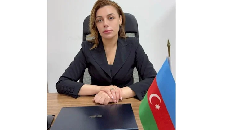 Hüquq sistemində yeni dövr: Özəl icra məmurları modeli bizə nə verəcək?