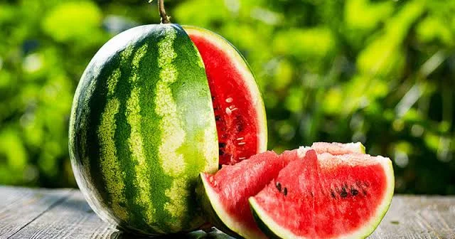 Orda qarpız satmaq olar?