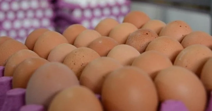 Almaniyada yumurta böhranı : Marketlər satışa limit qoydu