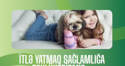 Ev heyvanları ilə bağlı maraqlı faktlar