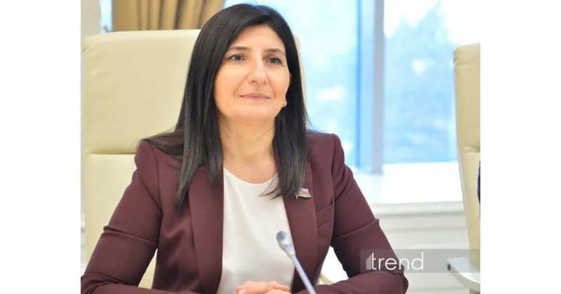 Rəqəmsal İnkişaf Şurasının yaradılması ilə qanunvericiliyin təkmilləşdirilməsi dinamik xarakter alıb Sevil Mikayılova