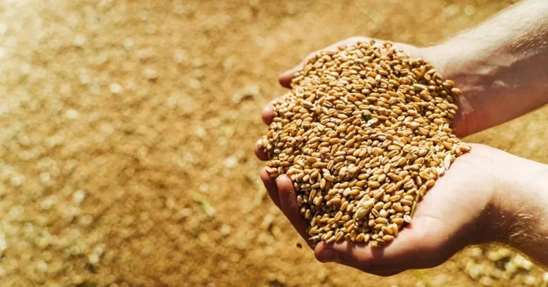 В Азербайджане произвели сельхозпродукцию почти на четыре миллиарда манатов