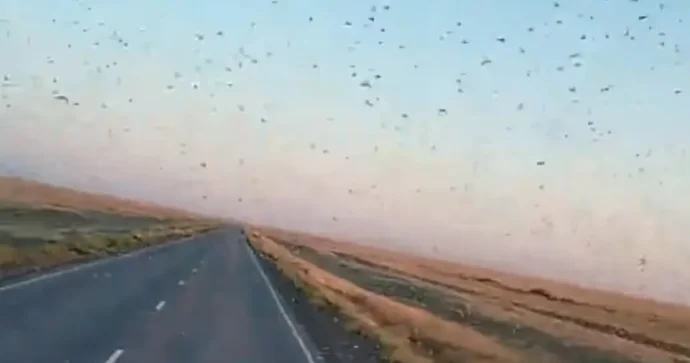 Azərbaycanda qiyamət əlaməti? AÇIQLAMA