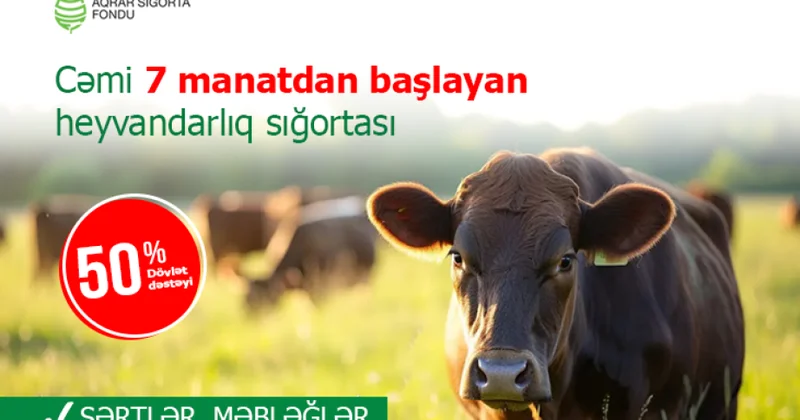 Yarısını dövlət ödəyir mal qara sığortası neçəyə başa gəlir?