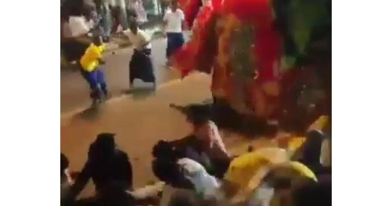 Нападение слона на человека попало на ВИДЕО