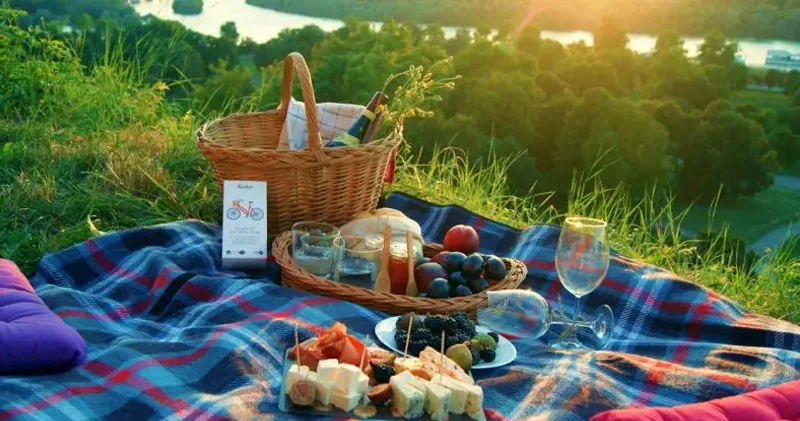 Mərkəzi Nəbatat Bağında piknik sahəsi bağlandı (SƏBƏB)