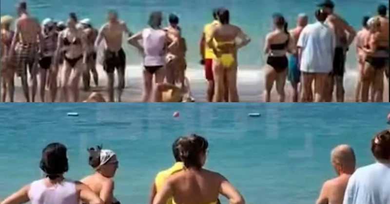 Bodrumda köpəkbalıqları sahilə çıxdı: Turistlər təcili dənizdən uzaqlaşdırıldılar