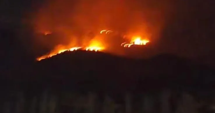 Пожар начался в лесном массиве в поселке Суговушан ФОТО