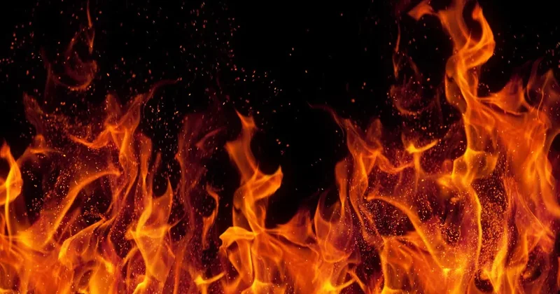 2100 cü ildə Yer necə görünəcək? Alimlərin proqnozları narahatlıq doğurur