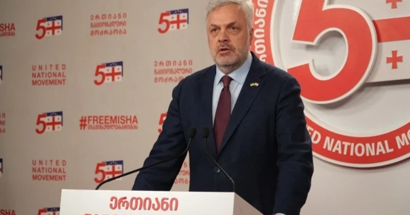 Gürcüstanda vətənə xəyanət maddəsi ilə ilk cinayət işi açılıb