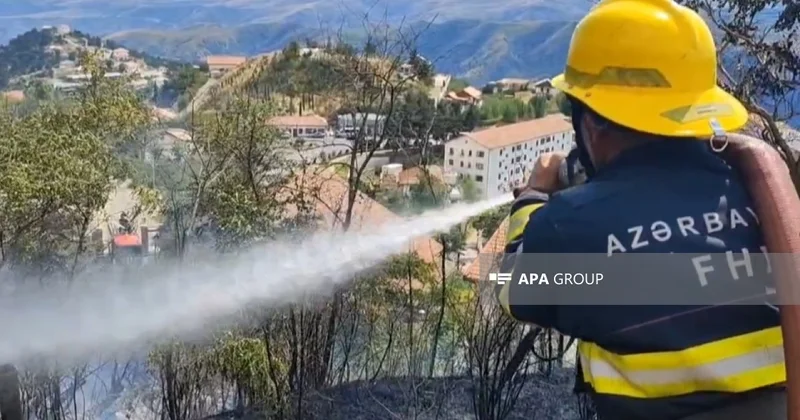 Laçında yaşayış evlərinin yaxınlığında yanğın olub FOTO