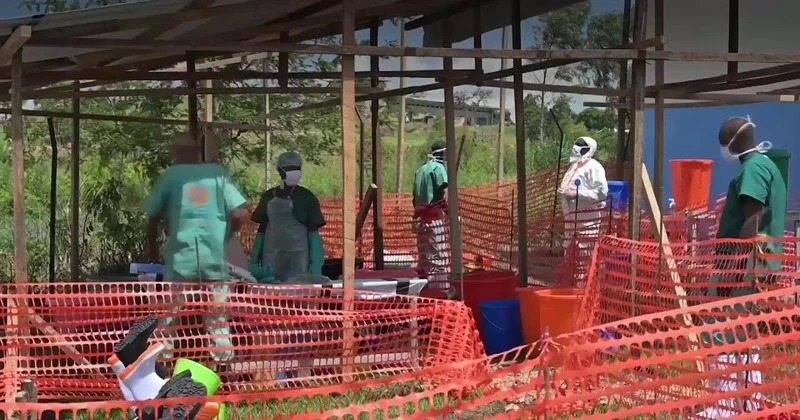 В ДР Конго выявили свыше 4 тысяч случаев Эболы ВИДЕО