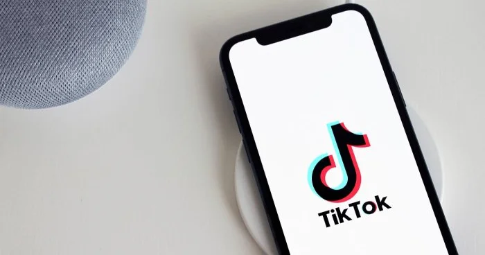 Sosial şəbəkədə etdikləri baha başa gəldi Tiktoker saxlanıldı