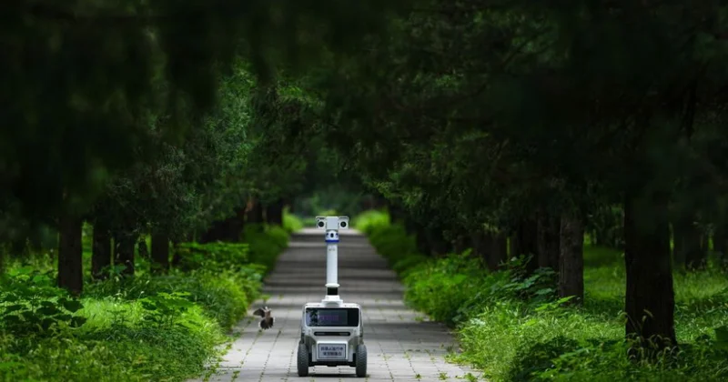 Pekin parklarında robot “əməkdaşlar” peyda olub