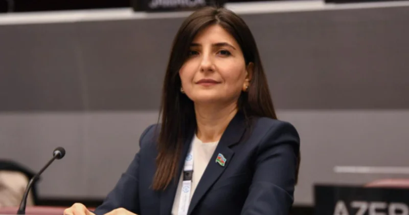 Vaşinqton Zirvə Görüşü Cənubi Qafqazda qarşıdurma modelinin dəyişməsinin mühüm mərhələsi kimi qiymətləndirilir ŞƏRH