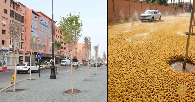 Bu yollara asfalt əvəzinə süngər döşənir