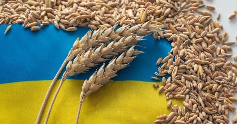 Украине грозит обвал экспорта зерна пишет Bloomberg