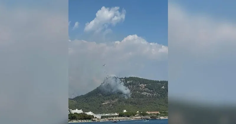 Antalyada otellərə yaxın ərazidə meşə yanır