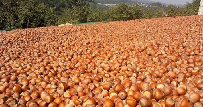 Məhsul bol, qiymət aşağı…