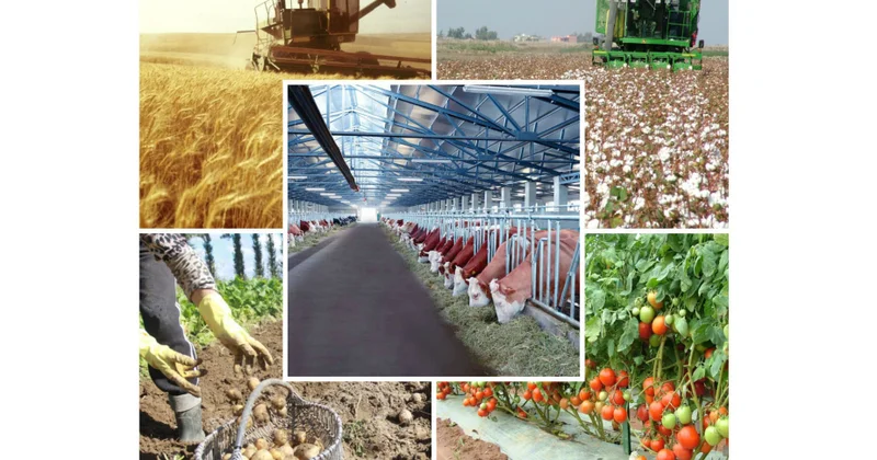 Aqrar sahədə beynəlxalq sertifikatların alınmasına dövlət dəstəyi veriləcək