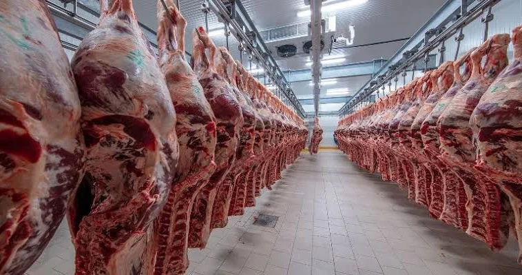 Dünyada mal əti istehsalı azalacaq PROQNOZ