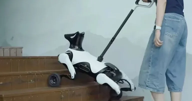 Çində korlar üçün dörd ayaqlı bələdçi robot hazırlanıb
