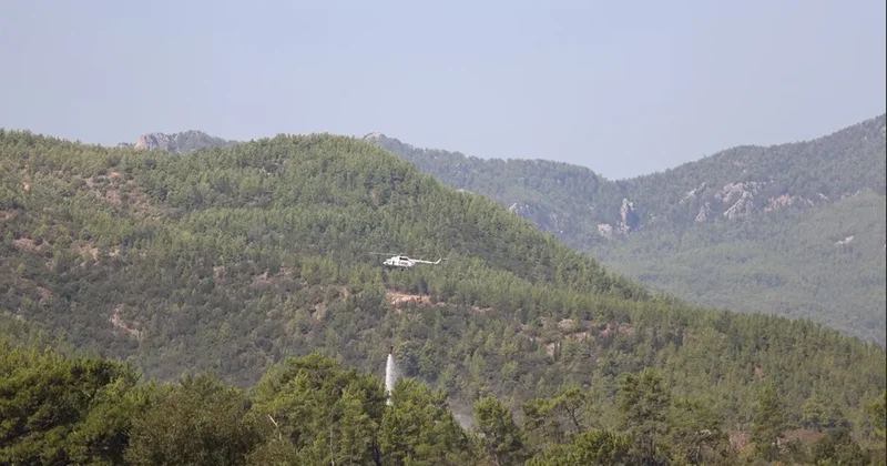 Muğla və Burdurda meşə yanğınları söndürülür