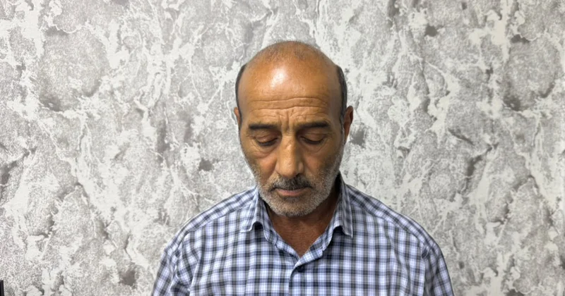Şabranda narkotik bitki yetişdirən şəxs saxlanılıb