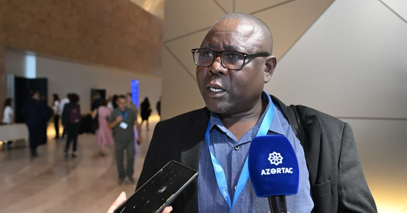 Tanzaniyalı koordinator: İqlim dəyişiklikləri ilə mübarizədə maliyyə resurslarının səfərbər edilməsi vacibdir