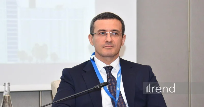 Опыт Азербайджана может стать примером для COP31 представитель МИД