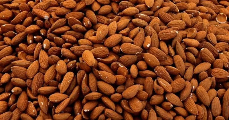 Badam depressiyaya qarşı həqiqətən faydalıdır?