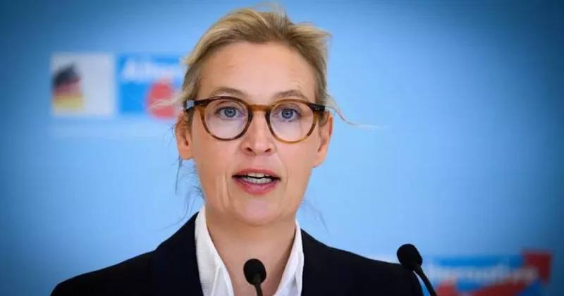 Лидер АдГ Вайдель: Германия стала банкротом из за политики Мерца