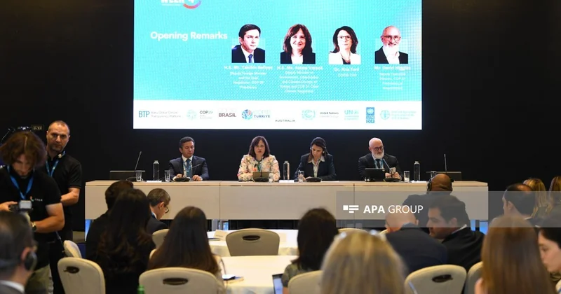 İqlim Həftəsi çərçivəsində növbəti panel sessiyası keçirilib FOTO